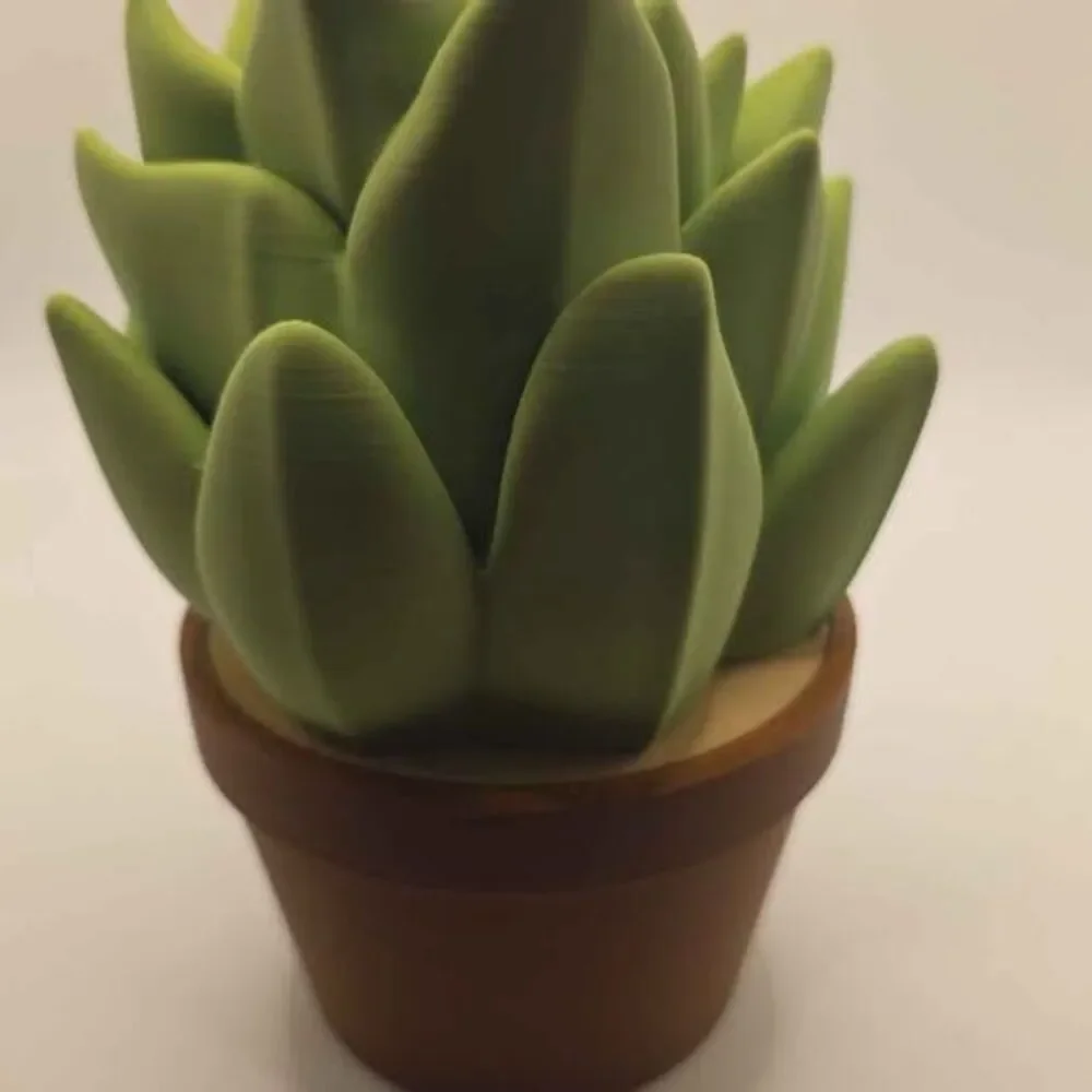 3D Printed Succulent Soap Dispenser – Unique Home Decor